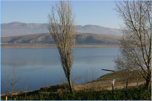 Το οικοσύστημα της Λίμνης Βεγορίτιδας