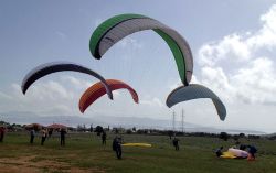 Freedom Paragliding