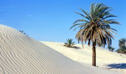 Classic tour of Tunisia & oasis