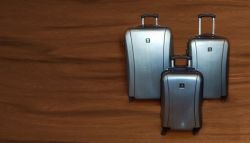 Louis Bags