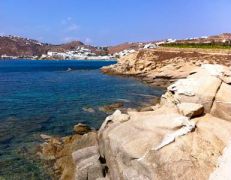 Ευρώπη - Ελλάδα - Νησιά Αιγαίου πελάγους - Κυκλάδες - Μύκονος - Καλό λιβάδι 