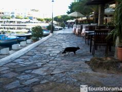 Town View - Agios Nikolaos