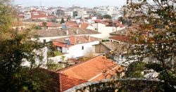Trikala poli