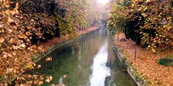 Trikala poli