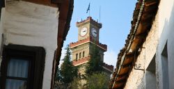 Trikala poli