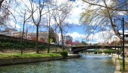 Trikala poli