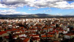 Trikala poli