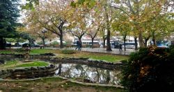 Trikala poli