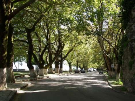 Αφιέρωμα στη Βίτσα Ιωαννίνων