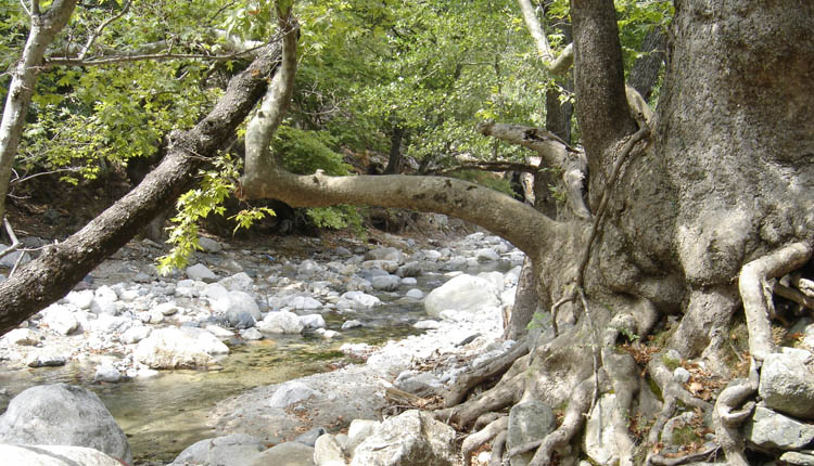 Αφιέρωμα στη Σαμοθράκη