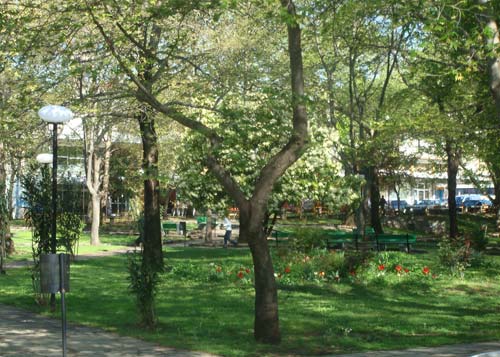 Δράμα: Φύση και δραστηριότητες στο Νέστο