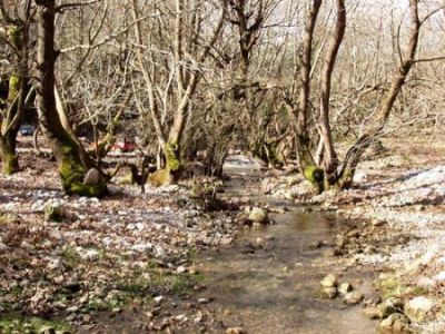 Καλάβρυτα: Ύδατα της Στυγός