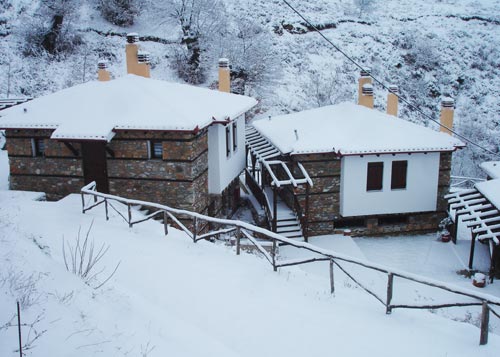 Kastania Gi