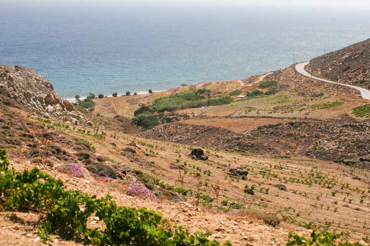 Ευρώπη - Ελλάδα - Νησιά Αιγαίου πελάγους - Κυκλάδες - Ανάφη 